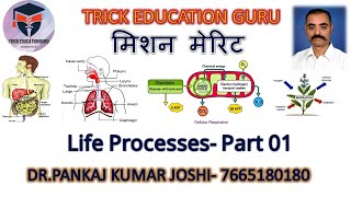 Life Processes Class 10 Science Biology [upl. by Buzzell173]