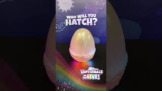 Hatchimals Mystery Hatch🥚​✨​ [upl. by Aig]