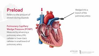 Cardiac Preload [upl. by Aruabea]