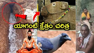 యాగంటి క్షేత్రం చరిత్ర పూజారిగారి మాటల్లో  Yaganti history yaganti basavanna [upl. by Teyut369]