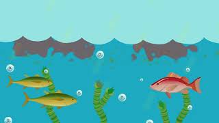 What is eutrophication [upl. by Eemia888]