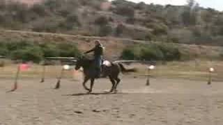 Cowboy Mounted Shooting Horse for Sale [upl. by Evad119]