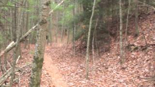 Mountain Biking Bear Creek Pinhoti Trail [upl. by Archy]