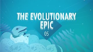 The Evolutionary Epic Crash Course Big History 5 [upl. by Caravette]