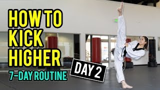 How to Kick Higher Stretches amp Drills Day 2 Routine [upl. by Vasilis]