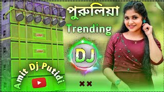 Superhit Nonstop Dj Song New 2025  Purulia New Song 2024 DJ Remix  Amit Dj Putidi [upl. by Ingles]