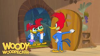 Woody Woodpecker Animated Compilation For Kids  WildBrain Max [upl. by Onitsirc]