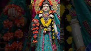 Radhike le chal Parli paar  radhe radhe viralvideo videos [upl. by Llenwahs]