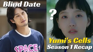 Yumis Cells Season 1 Recap Plot Characters and Ending [upl. by Martsen12]