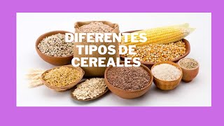 LOS DIFERENTES TIPOS DE CEREALES GRANOS [upl. by Lothar]