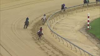 TIMONIUM 08 31 2024 RACE 4 PONY [upl. by Terrel864]