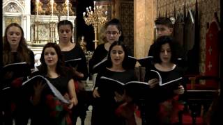 Concert de Craciun la Catedrala Catolica Sfantul Iosif Bucuresti [upl. by Prudhoe621]