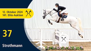 No 37 Strothmann by Stolzenberg  Provider  141 Verden EliteAuction on October 12th [upl. by Annaear]