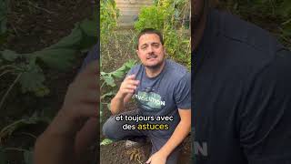 Astuces et conseils pour le jardin potager potager jardinr permaculture [upl. by Appilihp]