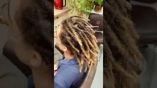 dreads dreadlock zilina [upl. by Dihsar595]