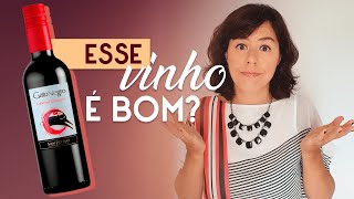 Vinho tinto Gato Negro é bom Provei o vinho e te conto tudo [upl. by Knowles]