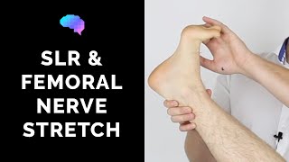 Straight Leg Raise amp Femoral Nerve Stretch Test  OSCE Guide  Clip  UKMLA  CPSA [upl. by Afira]