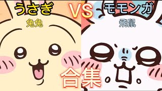 合集 モモンガ vs うさぎ  飛鼠 vs 兔兔  momonga vs usagi [upl. by Nibbs343]