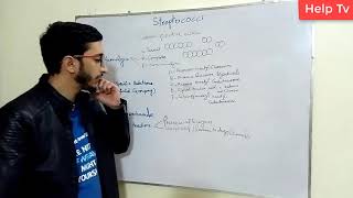 Introduction to Streptococcus [upl. by Airelav]