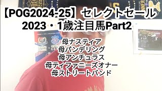 【POG202425】セレクトセール2023・1歳注目馬Part2 [upl. by Corrine262]