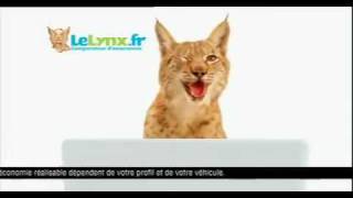 LeLynxfr Comparateur dassurances  Pub TV City 10 secs [upl. by Eimma]