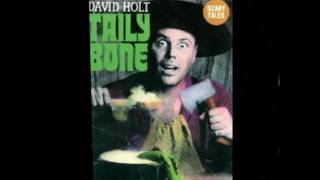 David Holt  Tailybone 1992 [upl. by Groscr344]