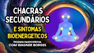 CHACRAS SECUNDÁRIOS E SINTOMAS BIOENERGETICOS [upl. by Ziza]