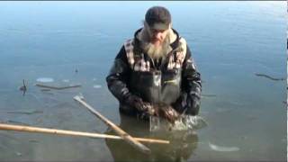 Muskrat Trapping with Tom Florin [upl. by Sidran982]