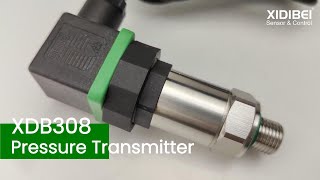 XDB308 Versatile Pressure Transmitter for Every Industry [upl. by Eeralih]