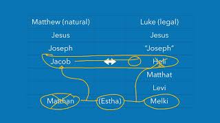 Biblical Contradictions Jesus Genealogy [upl. by Ryder]