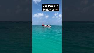 Sea plane in Maldives 🇲🇻  Travel travel travelvlog maldives maldivesbeach resort seaplane [upl. by Goldia713]