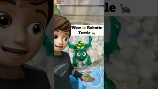 Wow 🤩 Robotic Turtle 🐢  minivlog [upl. by Mckee]