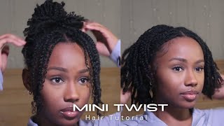 The BEST way to do MINI TWIST that LAST protectivestyles Tutorial [upl. by Ainalem]