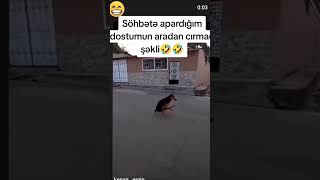 qacma dayan soz deyirem😂 shortvideo [upl. by Jerz]