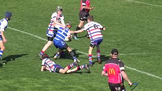 U15s Group 9 JRL Grand Final Cootamundra Bulldogs vs Young Cherrypickers 02092023 [upl. by Teerell]