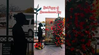 RED POPPY OF REMEMBRANCE DAY trumpet rememberthefallen remembrance fypage sydney australia [upl. by Rabbaj]