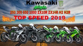 Kawasaki Ninja 250 300 650 1000 ZX10R ZX14R H2 H2R Top Speed 2019 [upl. by Perlis]