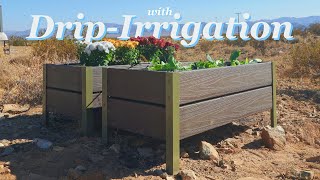 How To Make Self Watering Raised Planters  Garden Beds from Composite Decking [upl. by Ahseet]