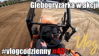 vlogcodzienny 43  Glebogryzarka w akcji Instalacja nawodnienia ogrodu Niwelowanie pod trawę [upl. by Ocihc996]