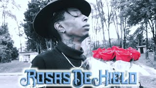 Will Cades  Rosas De Hielo Video Oficial [upl. by Arjun]