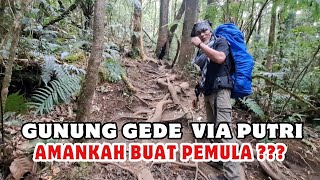 Pendakian Gunung Gede pangrango via putri Cocokkah untuk pemula [upl. by Sydalg]