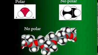 Origen y características de la química orgánica [upl. by Aicetal]