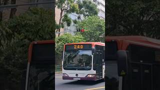 Last day SBS Transit on Service 240 MercedesBenz Citaro SBST livery SBS6220T logoless [upl. by Chloris541]