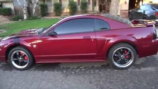 Removing Window Tint On A 04 Mustang [upl. by Cirdnek]