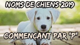 🐕Idées noms de chiens 2019 commençant par quotPquot🐕 [upl. by Carmina]