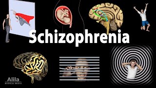 Schizophrenia Symptoms Cause Pathophysiology Diagnosis and Treatments Animation [upl. by Seka]