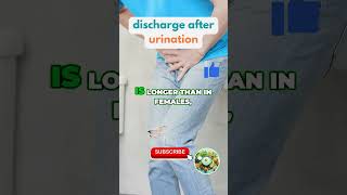 Discharge After Urination in Men Normal or Not UrinaryTract [upl. by Broeker76]