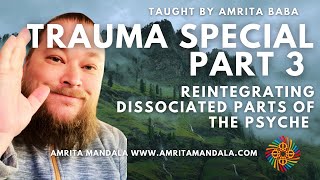 Trauma Special Part 3 Reintegrating Dissociated Parts of the Psyche complextrauma traumahealing [upl. by Cleodal]