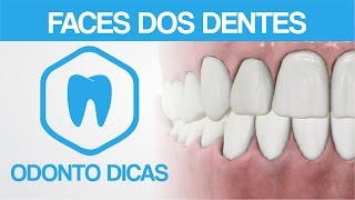 FACES DOS DENTES  ODONTO DICAS [upl. by Montgomery]