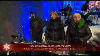 Timoteij amp Lotta Engberg  Julmedley Live  Jullotta På Liseberg 2011 [upl. by Placida]